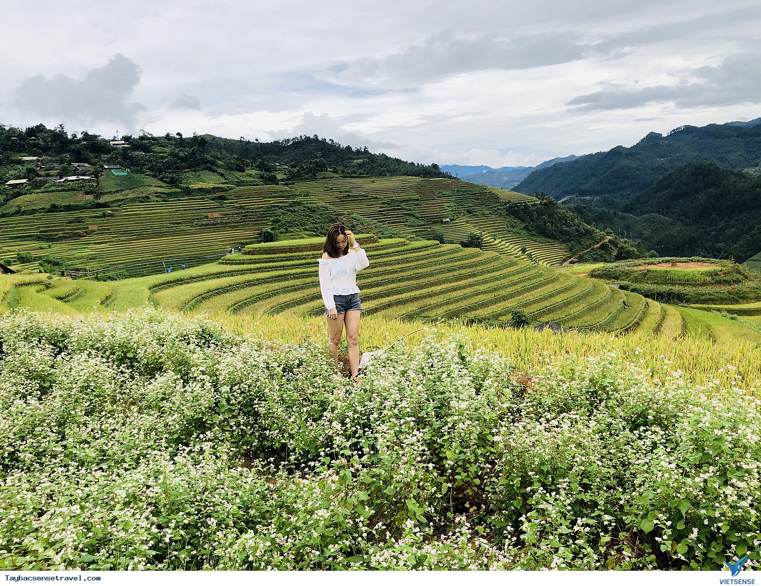 Ngỡ ngàng cung đường vàng đến Mù Cang Chải - Ảnh 10