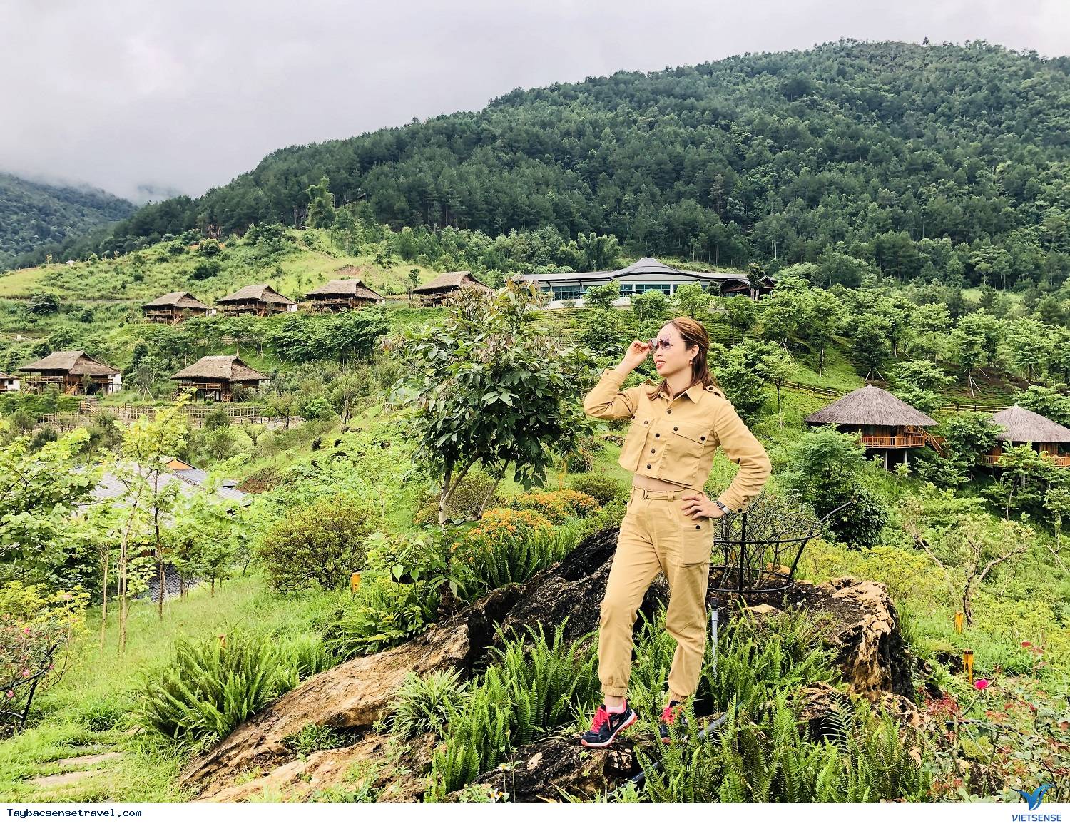 Ngỡ ngàng cung đường vàng đến Mù Cang Chải - Ảnh 6