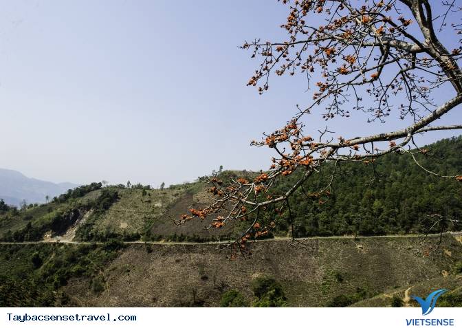 Những Mùa Hoa Đẹp Trên Cung Đường Phượt Tây Bắc - Ảnh 30