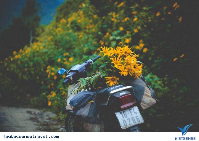 Những Mùa Hoa Đẹp Trên Cung Đường Phượt Tây Bắc - Ảnh 3