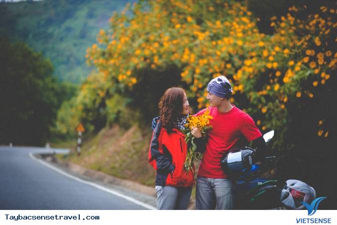 Những Mùa Hoa Đẹp Trên Cung Đường Phượt Tây Bắc - Ảnh 8