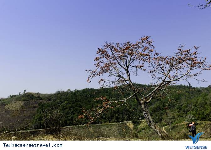 Những Mùa Hoa Đẹp Trên Cung Đường Phượt Tây Bắc - Ảnh 32