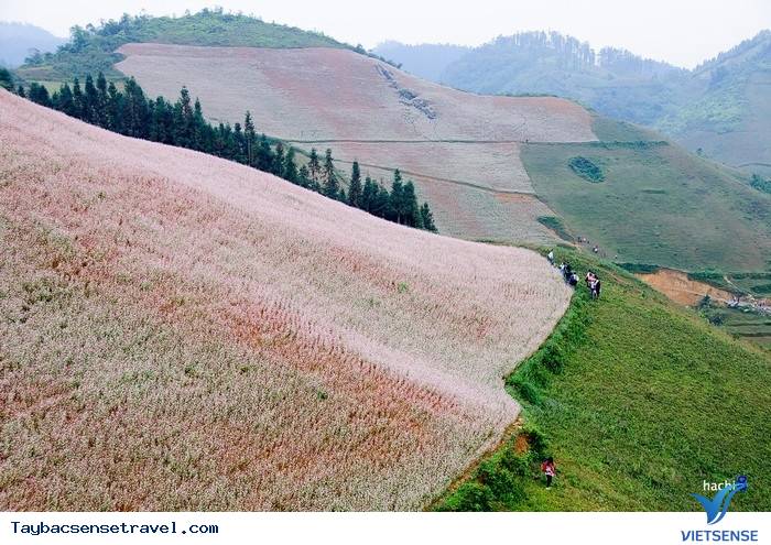 TAM GIÁC MẠCH KHOE MÀU CUỐI THU - Ảnh 1 TAM GIÁC MẠCH KHOE MÀU CUỐI THU - Ảnh 1