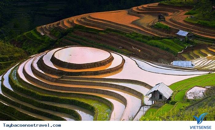 Núi Rừng Tây Bắc Bốn Mùa Hoa - Ảnh 2 Núi Rừng Tây Bắc Bốn Mùa Hoa - Ảnh 2