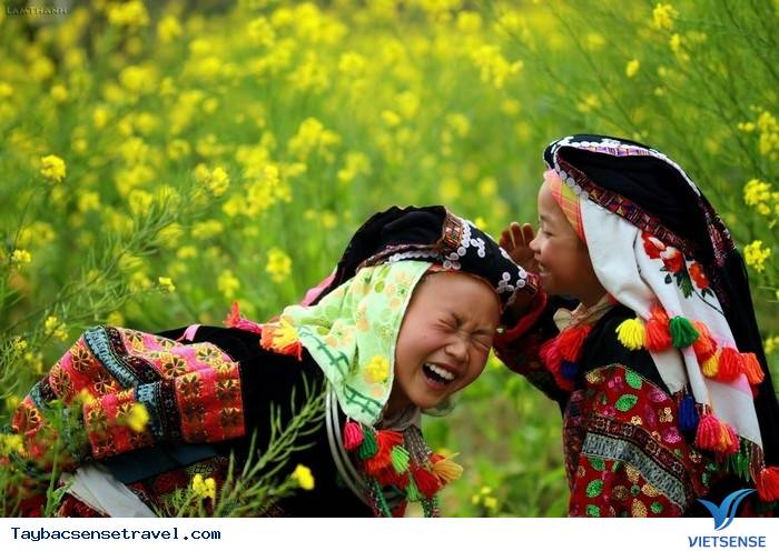 CẢI VÀNG THẮP LỬA TRỜI ĐÔNG GIÁ - Ảnh 1 CẢI VÀNG THẮP LỬA TRỜI ĐÔNG GIÁ - Ảnh 1