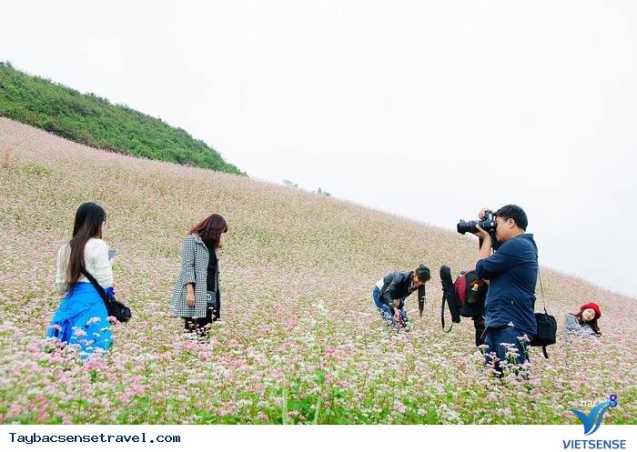 TAM GIÁC MẠCH KHOE MÀU CUỐI THU - Ảnh 4 TAM GIÁC MẠCH KHOE MÀU CUỐI THU - Ảnh 4