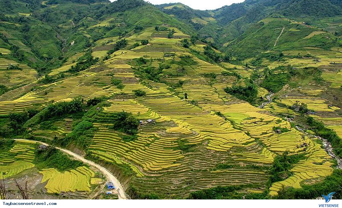 Phong Thổ - Lai Châu Phong Thổ - Lai Châu