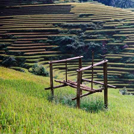 Rung Động Trước Vẻ Đẹp Của Mù Cang Chải - Ảnh 8 Rung Động Trước Vẻ Đẹp Của Mù Cang Chải - Ảnh 8