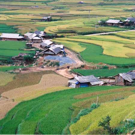 Rung Động Trước Vẻ Đẹp Của Mù Cang Chải - Ảnh 3 Rung Động Trước Vẻ Đẹp Của Mù Cang Chải - Ảnh 3