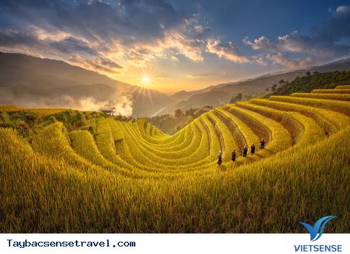 Ruộng bậc thang Ruộng bậc thang