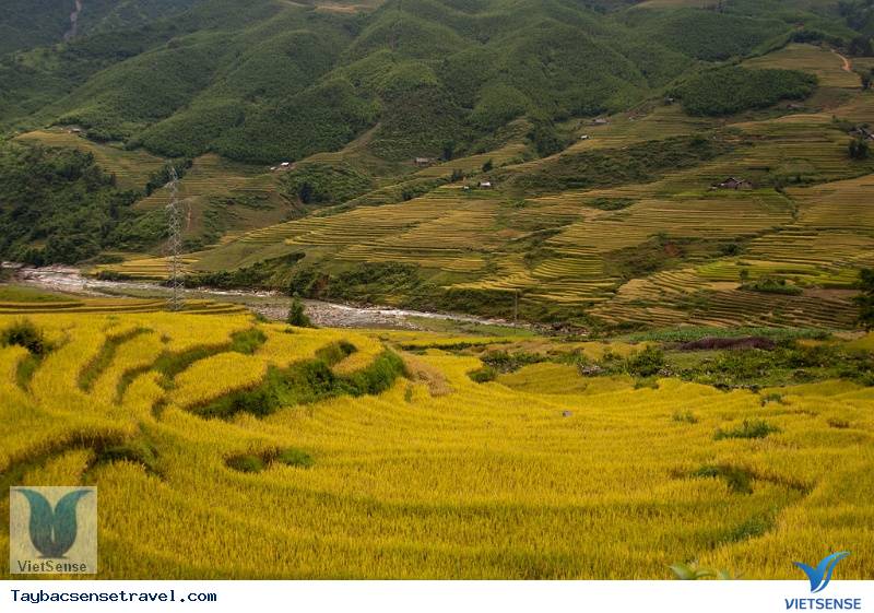 chương trình
 tay bac