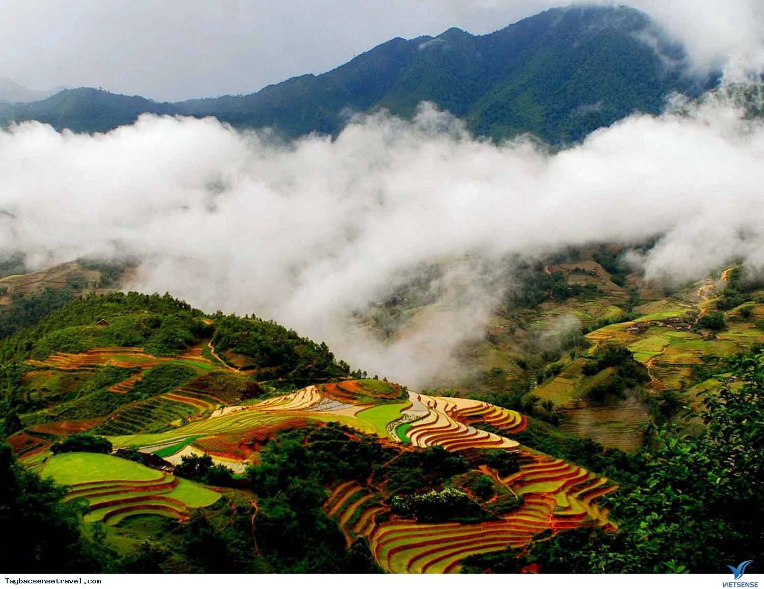 Sapa Phấn Đấu Trở Thành Đô Thị Xanh Vùng Tây Bắc - Ảnh 1 Sapa Phấn Đấu Trở Thành Đô Thị Xanh Vùng Tây Bắc - Ảnh 1