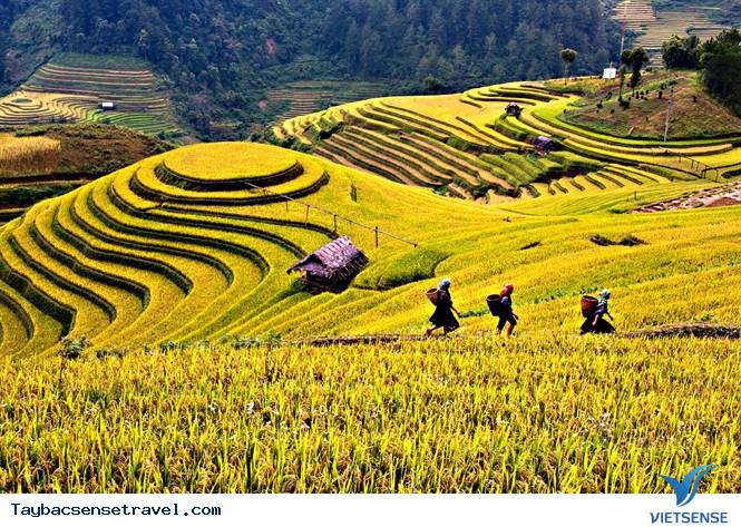 Tuần văn hóa du lịch yên bái Tuần văn hóa du lịch yên bái