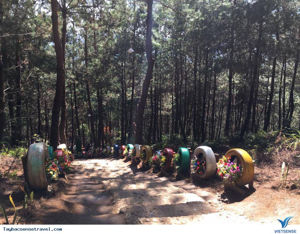 Tả Lèng, Lai Châu