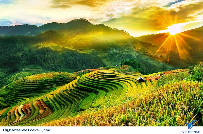 Tại sao cuối tháng 9 lại là thời điểm ngắm cảnh mùa lúa chín ở Mù Cang Chải - Ảnh 1