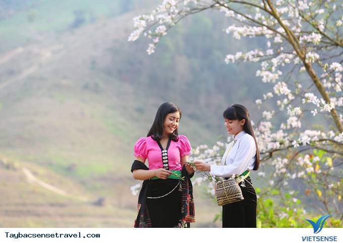 Tây Bắc Tháng 3 - Mùa Hoa Ban Rừng Nở Rộ - Ảnh 11