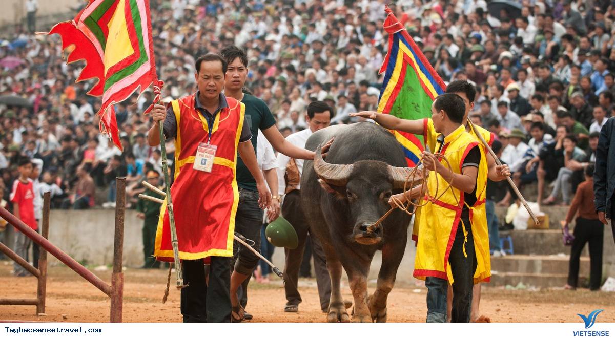 Tham gia các lễ hội đặc sắc - Ảnh 2
