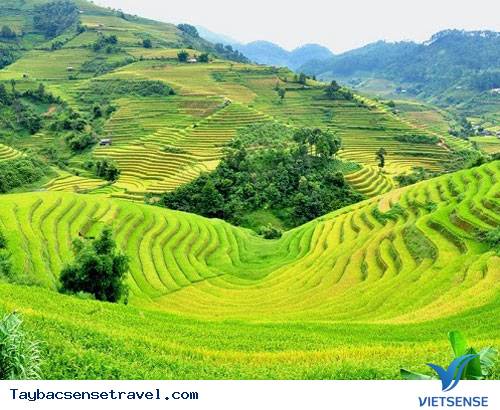 Di tích lịch sử hang Thẩm Púa Di tích lịch sử hang Thẩm Púa