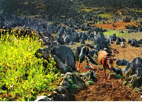 Thị trấn Đồng Văn