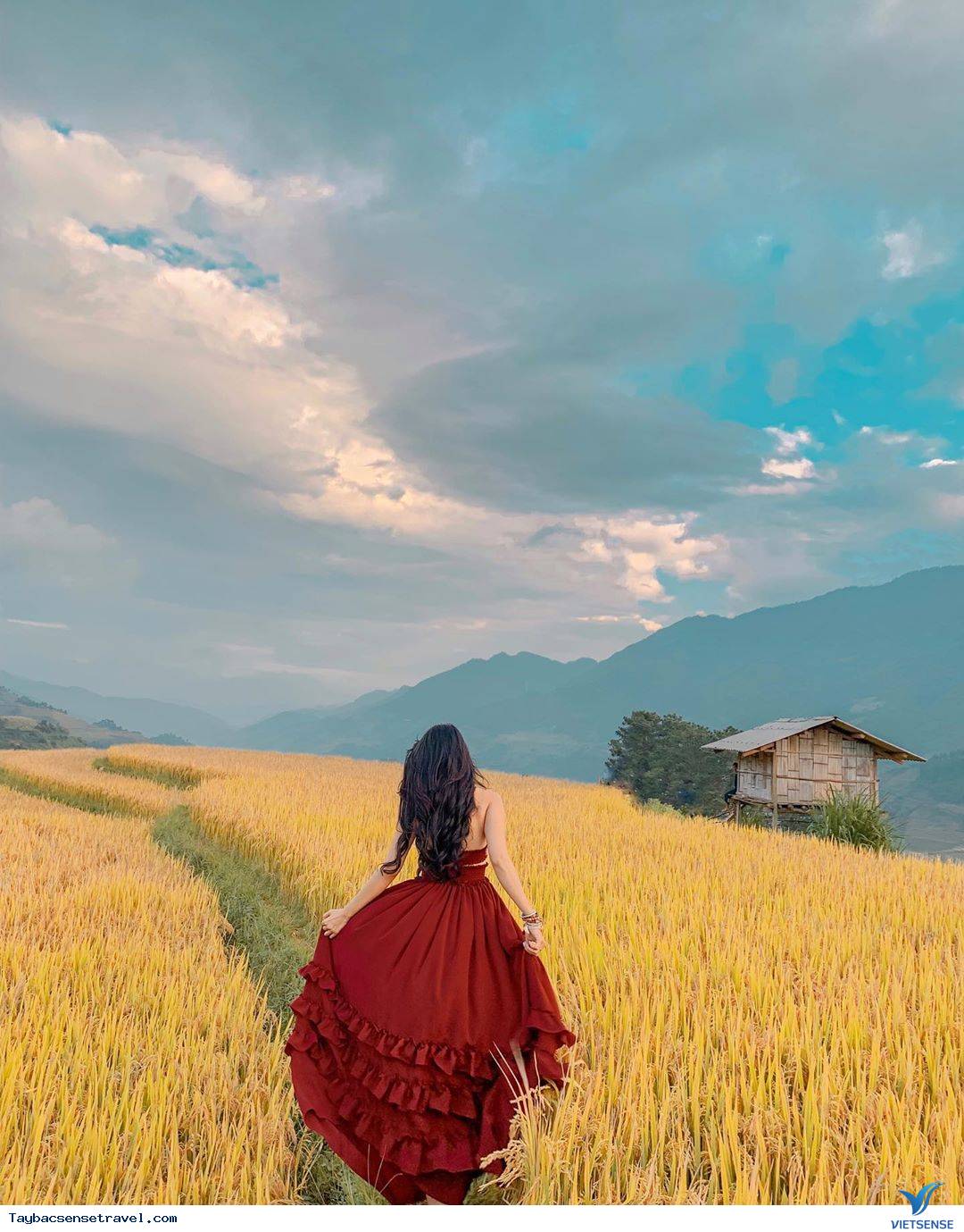 “Nấc thang trời vàng rực” ở Mù Căng Chải - Yên Bái. “Nấc thang trời vàng rực” ở Mù Căng Chải - Yên Bái.