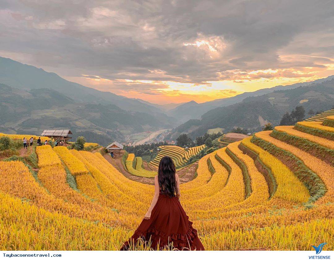 Bức tranh tuyệt mỹ lúa chín ở Tú Lệ - Yên Bái. Bức tranh tuyệt mỹ lúa chín ở Tú Lệ - Yên Bái.