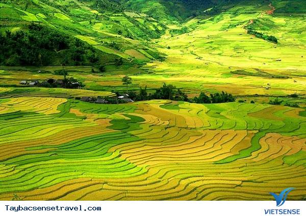 “Thốn tim”  ruộng bậc thang ở Hoàng Su Phì. “Thốn tim”  ruộng bậc thang ở Hoàng Su Phì.