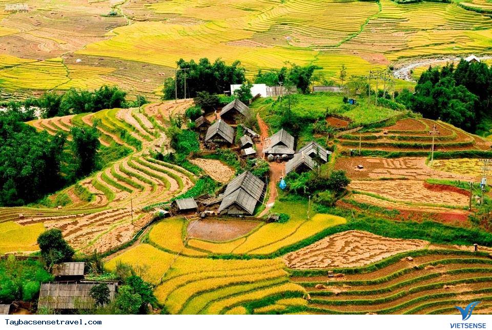 Thung lũng Mường Hoa Thung lũng Mường Hoa