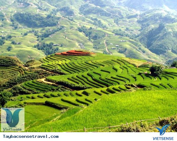 du lich tay bac - tinh lao cai du lich tay bac - tinh lao cai