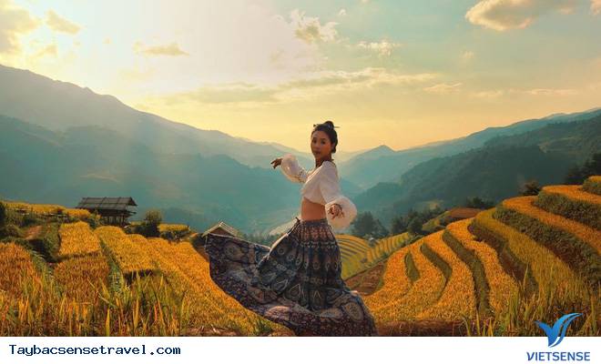 Tất tần tật kinh nghiệm Vivu Mù Cang Chải mới nhất 2025 - Ảnh 1