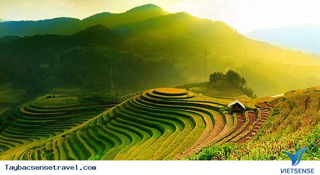 Kinh nghiệm đi Mù Cang Chải tự túc cực chi tiết 2025 - Ảnh 1 Kinh nghiệm đi Mù Cang Chải tự túc cực chi tiết 2025 - Ảnh 1