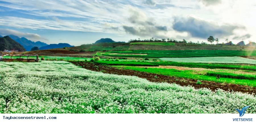 thăm quan Bảo Tàng lịch sử Điện Biên Phủ, Viếng Nghĩa trang liệt sỹ A1, đồi A1