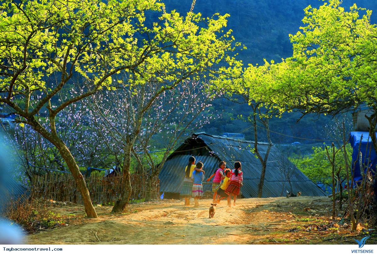 Tour du lịch Tây Bắc - Ảnh 4 Tour du lịch Tây Bắc - Ảnh 4