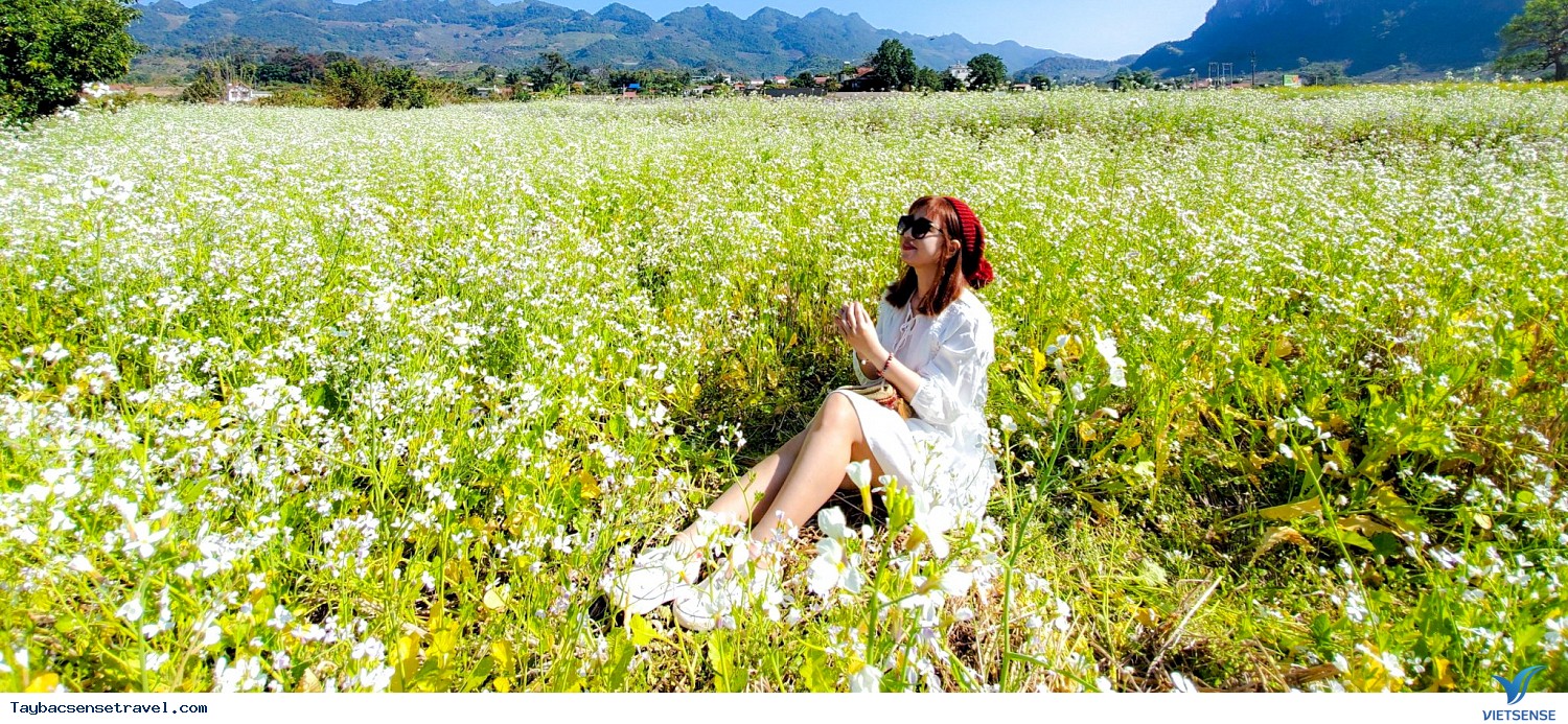 chương trình  HÀ NỘI - MAI CHÂU - MỘC CHÂU MÙA HOA - 2 Ngày 1 Đêm chương trình  HÀ NỘI - MAI CHÂU - MỘC CHÂU MÙA HOA - 2 Ngày 1 Đêm