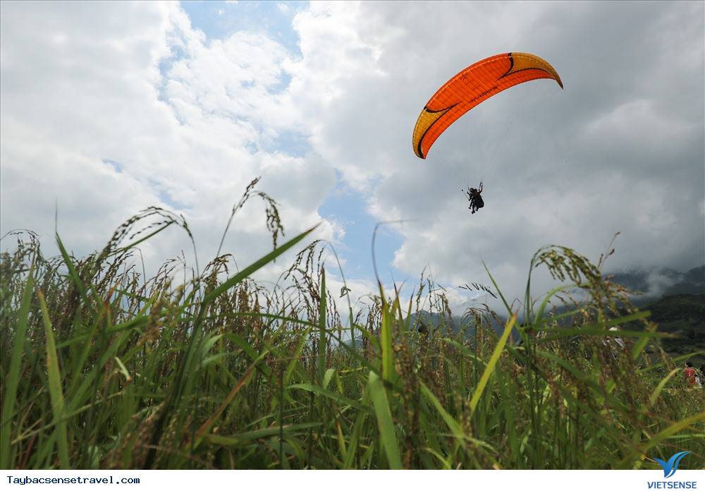 Trải Nghiệm Thích Thú Ngắm Dù Lượn Bay trên mùa vàng tại Mù Cang Chải - Ảnh 6