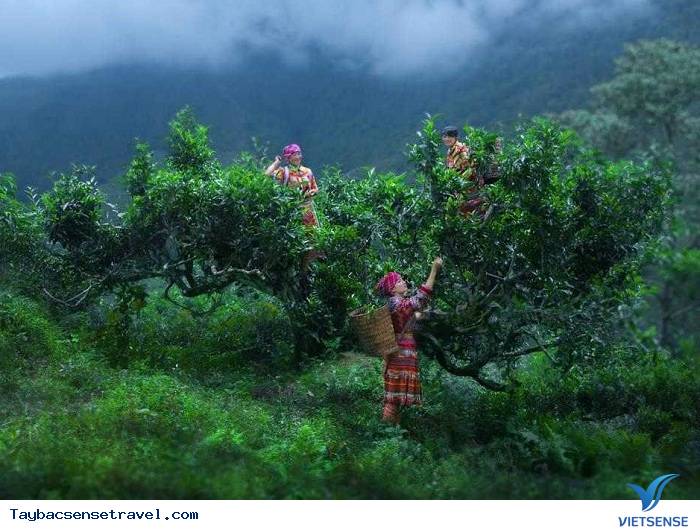 Vẻ đẹp bình dị ở Suối Giàng - Ảnh 2 Vẻ đẹp bình dị ở Suối Giàng - Ảnh 2