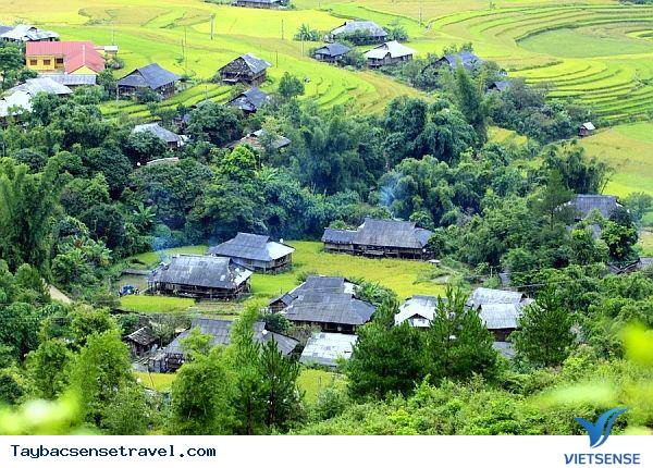 Vẻ Đẹp Tú Lệ - Ảnh 1