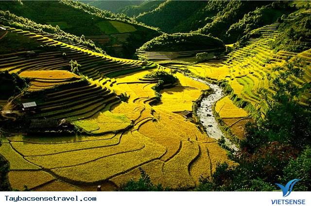 Vẻ Đẹp Tú Lệ - Ảnh 2